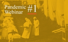 Pandemic Webinar #1: What Are the Lessons of History, Literature, and Philosophy?