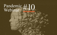 Pandemic Webinar #10: The Role of Public Intellectuals